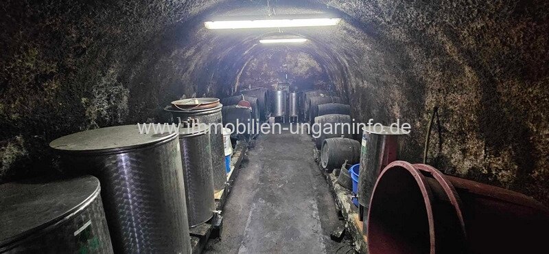 Auf der Nordseite des Plattensees in Rezi, Panorama-Weinberghäuschen zu verkaufen