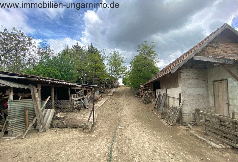 15 km vom Plattensee entfernt Einfamilienhaus mit 0,7 ha Grundstück zu verkaufen