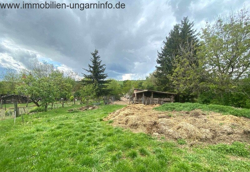 15 km vom Plattensee entfernt Einfamilienhaus mit 0,7 ha Grundstück zu verkaufen