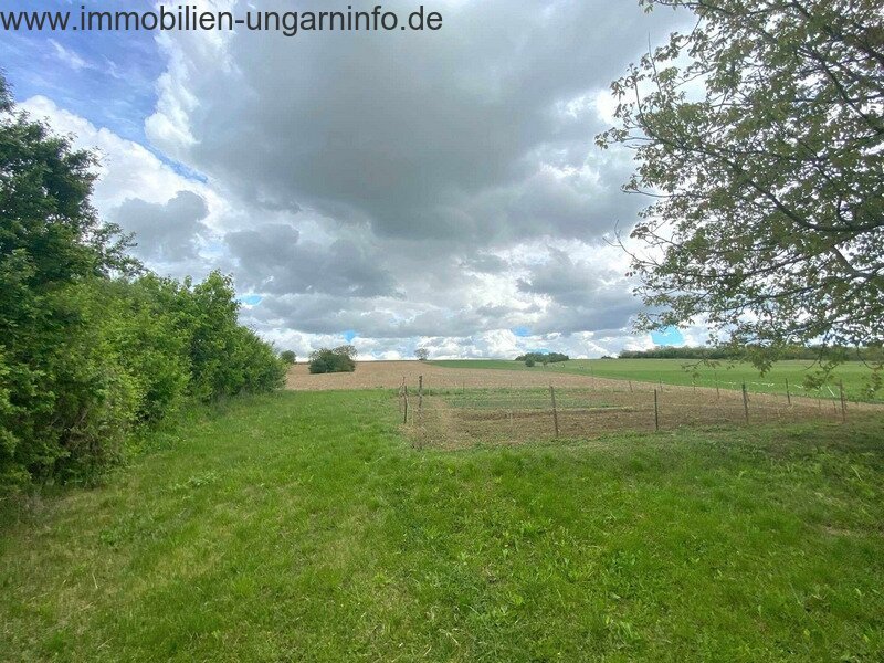 15 km vom Plattensee entfernt Einfamilienhaus mit 0,7 ha Grundstück zu verkaufen