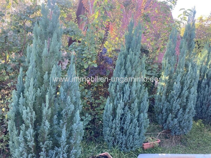 Alpines Wochenendhaus mit Grundstück mit Blick auf den Velence-See