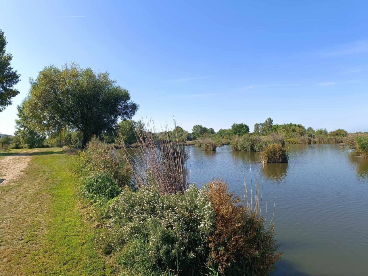 12,5 Hektar Fischteich/Erholungspark in der Region Nord-Balaton zu verkaufen
