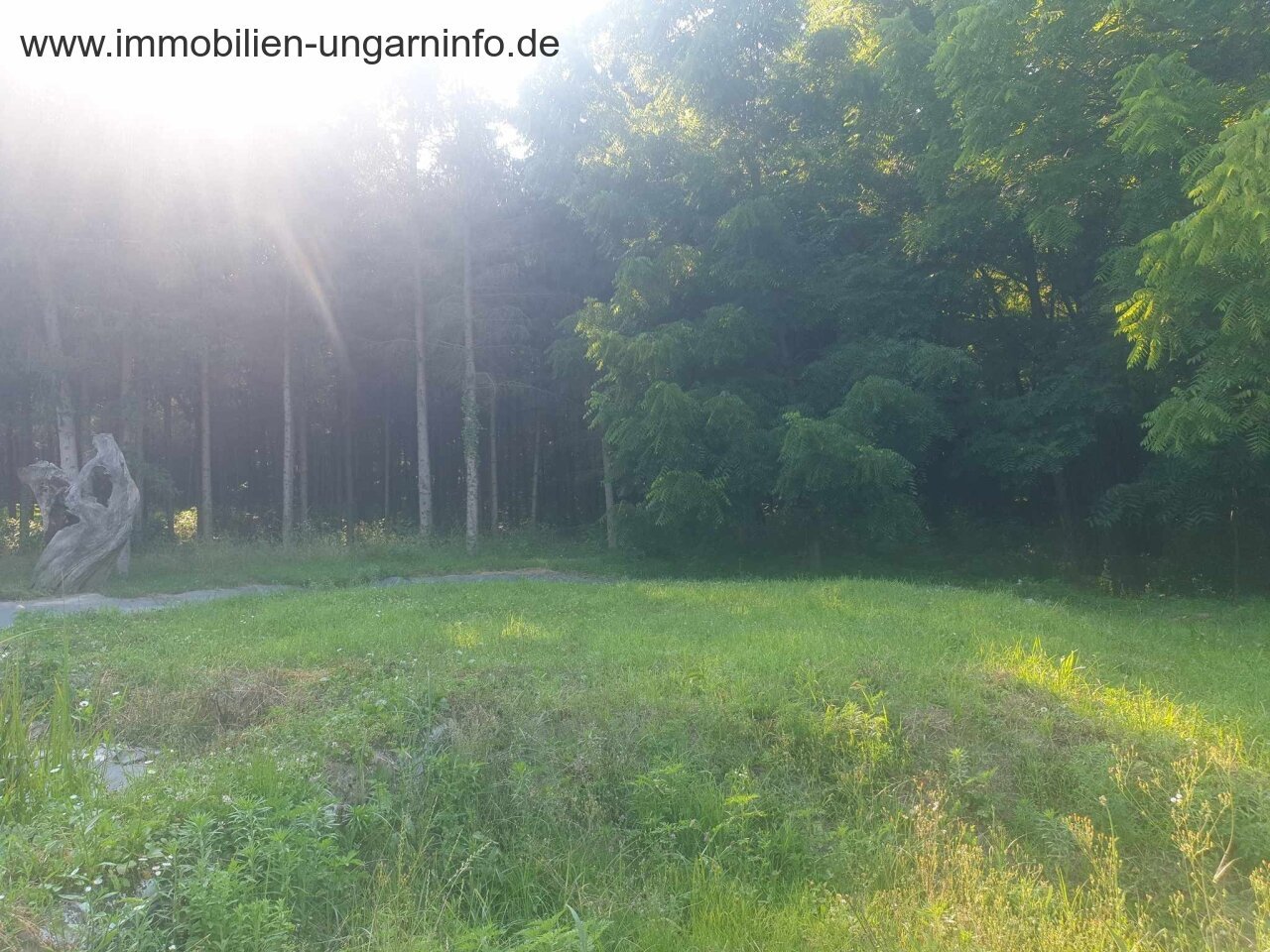 Zu verkaufen 3,2 Hektar großes Familienanwesen mit 3 Häusern, Pool, See, Wald