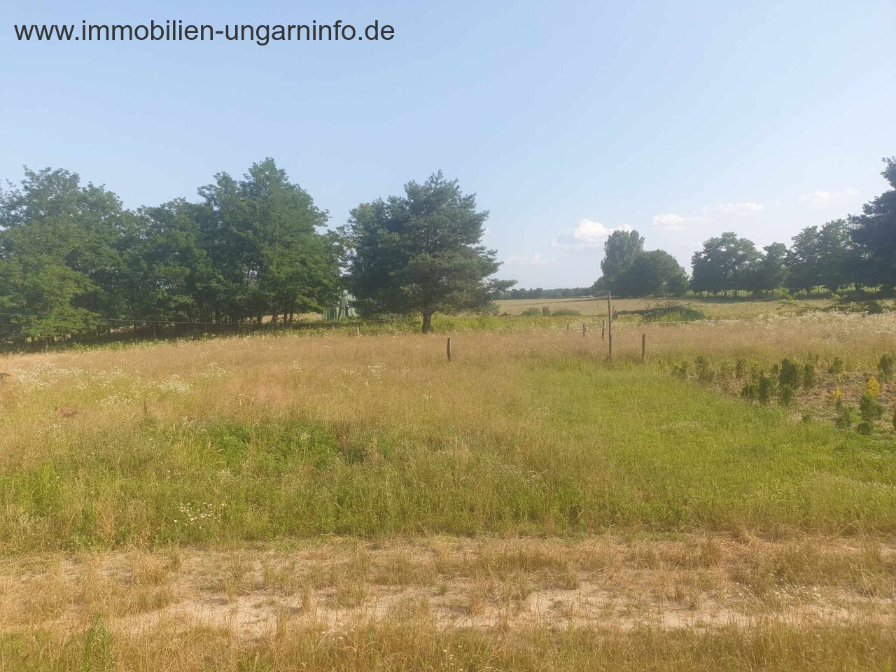 Zu verkaufen 3,2 Hektar großes Familienanwesen mit 3 Häusern, Pool, See, Wald