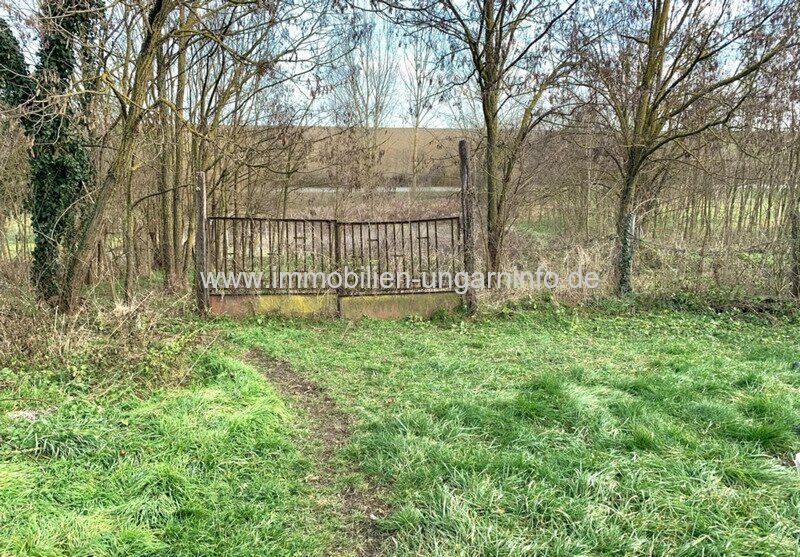 Einfamilienhaus zwischen dem Plattensee und der Kreisstadt