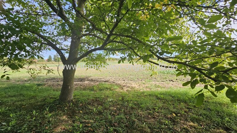 Einfamilienhaus mit großem Hof in ruhiger Lage, nahe der kroatischen-slovenien Grenze