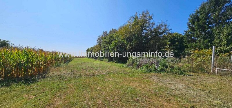 Sofort bezugsfertiges Familienhaus in der Nähe des Plattensees