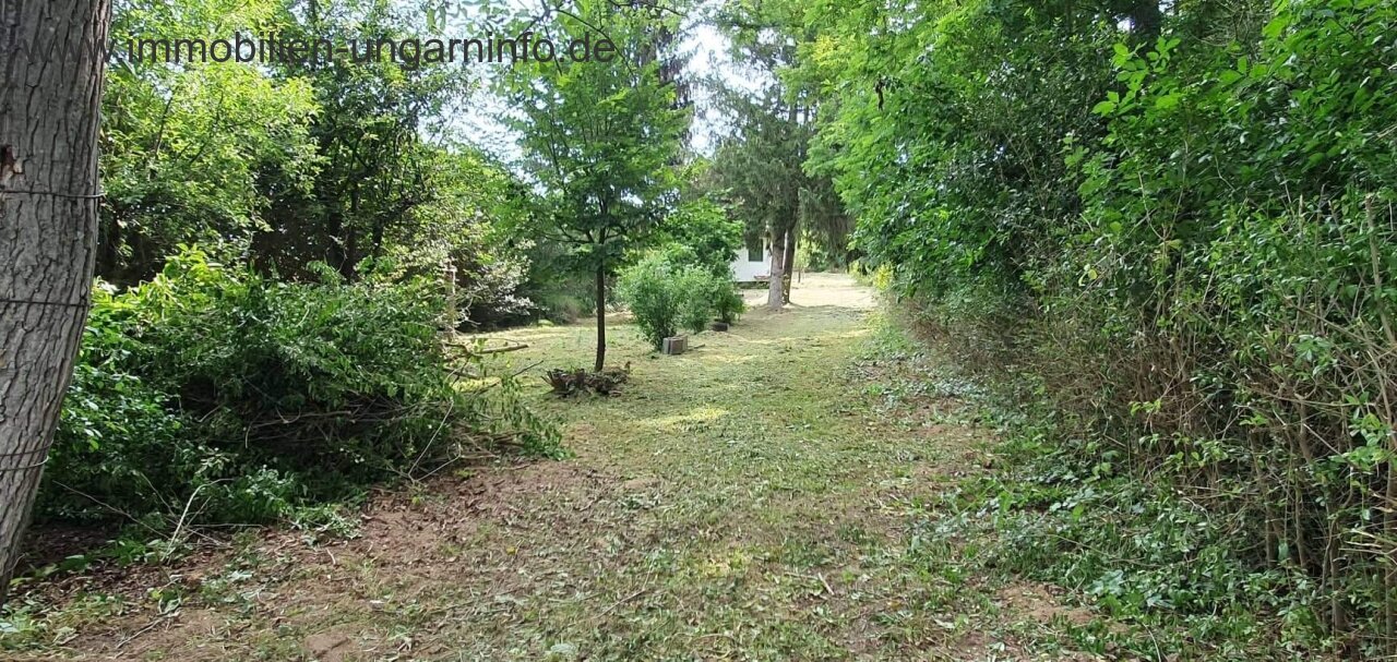 Bewohnbares Keller-/Pressenhaus südlich des Plattensees zu verkaufen