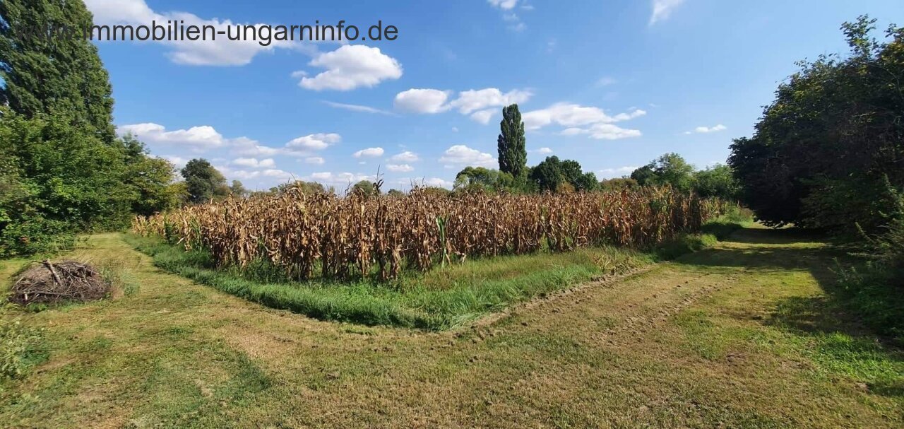 Südlich des Plattensees gut erhaltenes Einfamilienhaus mit großem Grundstück zu verkaufen