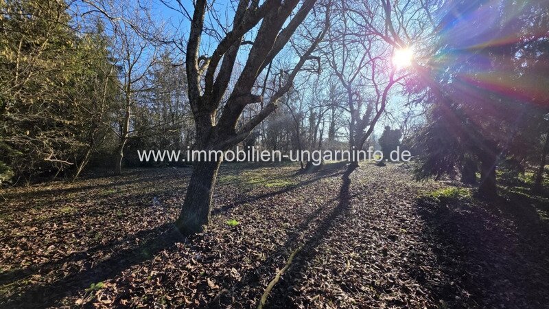 Bürgerliches Anwesen in Nagyszakácsi (Komitat Somogy) mit 0,7 Hektar altem Baumbestand