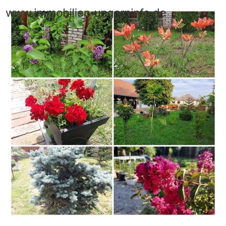 Renovated family house in Somogy county, near Kaposvár
