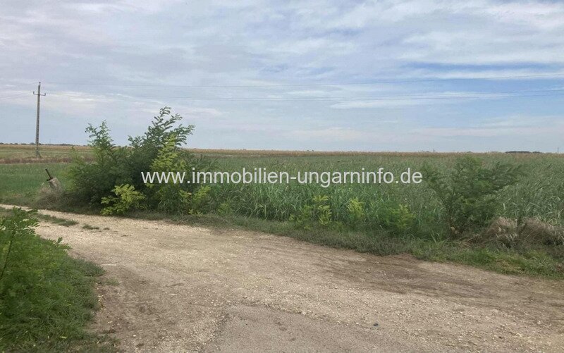 Naturverbundenes Baugrundstück in der Nähe des Balaton (Plattensee)