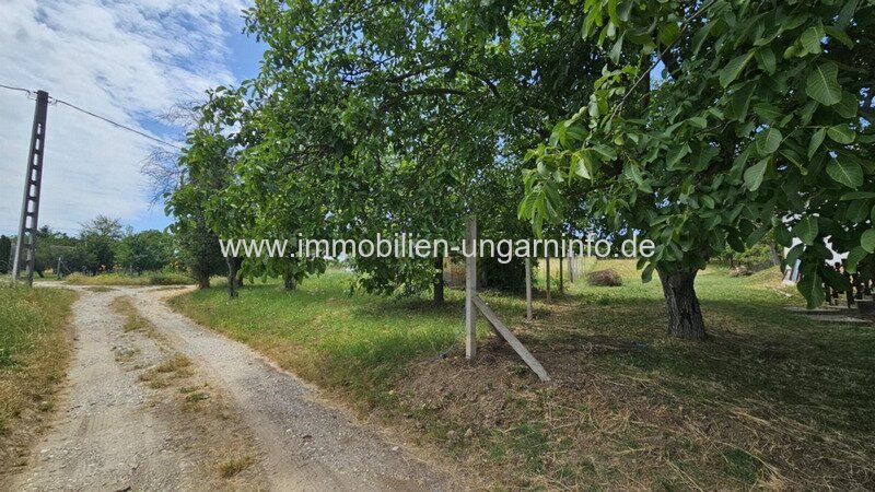In Marcali Weinberg (12 km vom Plattensee) geschlossene Garten zu verkaufen