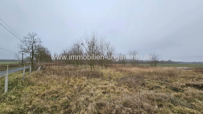 0,68 Hektar großes Grundstück in der Balaton-Region zu verkaufen