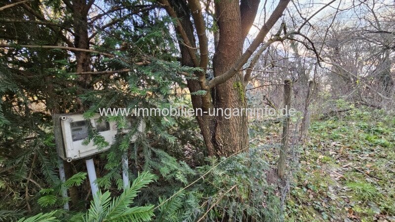 Wochenendhaus mit Keller im Komitat Somogy