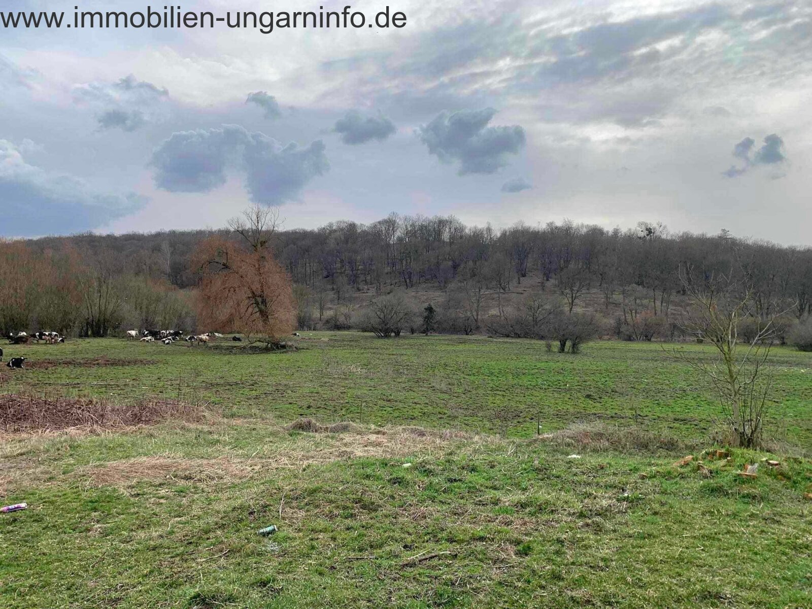 Einfamilienhaus zum sofortigen Bezug in Zselic
