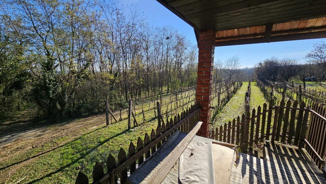 2 Keller/Wochenendhaus mit großem Grundstück in den Weinbergen von Marcali zu verkaufen