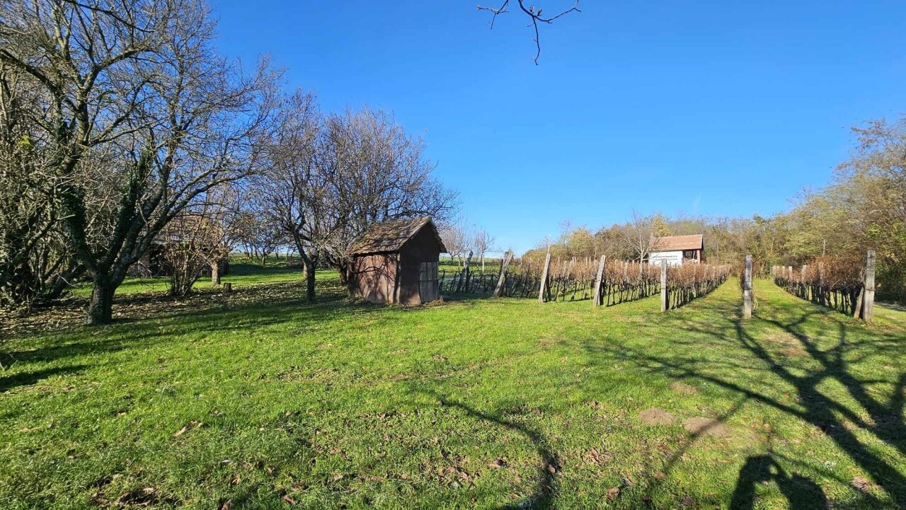 2 Keller/Wochenendhaus mit großem Grundstück in den Weinbergen von Marcali zu verkaufen