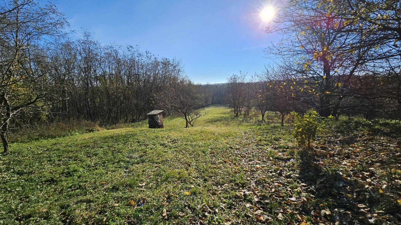 2 Keller/Wochenendhaus mit großem Grundstück in den Weinbergen von Marcali zu verkaufen