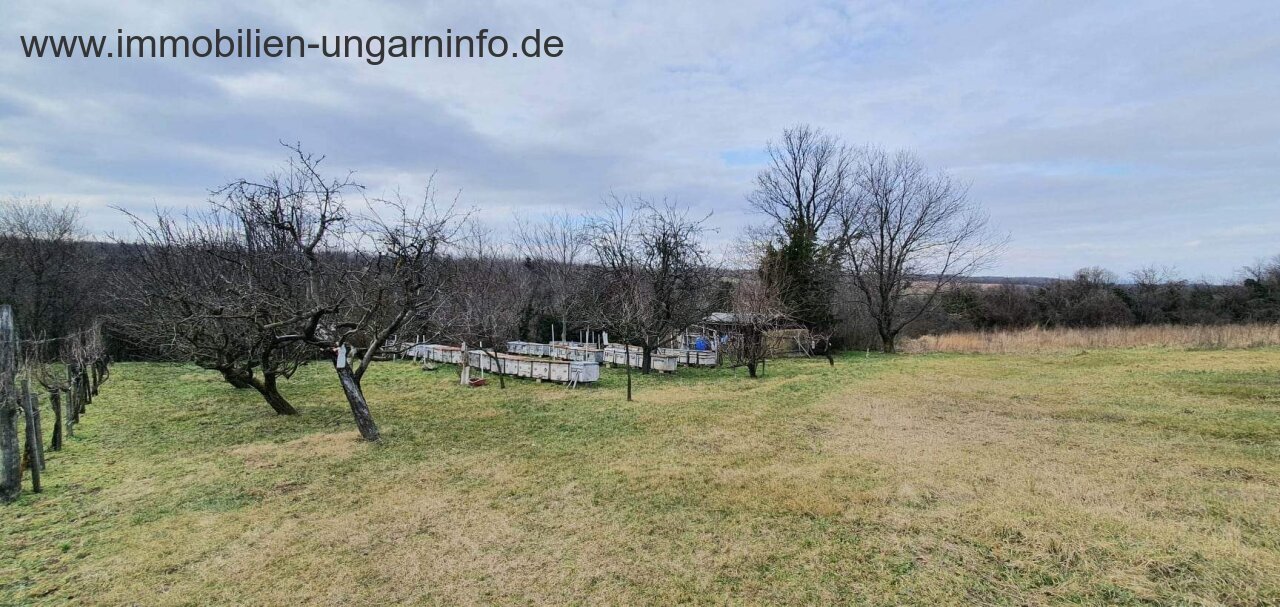 Grundstück in den Weinbergen von Marcali zu verkaufen