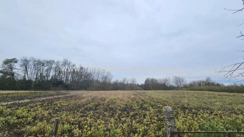 Bauernhaus in der Nähe des Plattensees