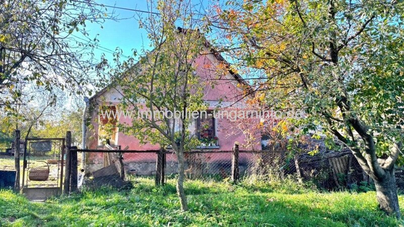 Bauernhaus im Kreis Tolna, mit großem Nebengebäude