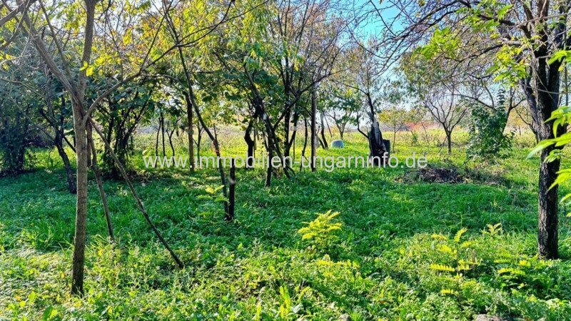 Bauernhaus im Kreis Tolna, mit großem Nebengebäude