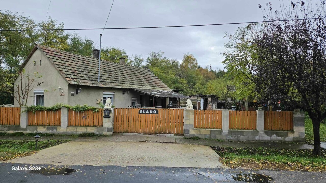 Einfamilienhaus mit großem Grundstück und Wald in der Nähe des Plattensees
