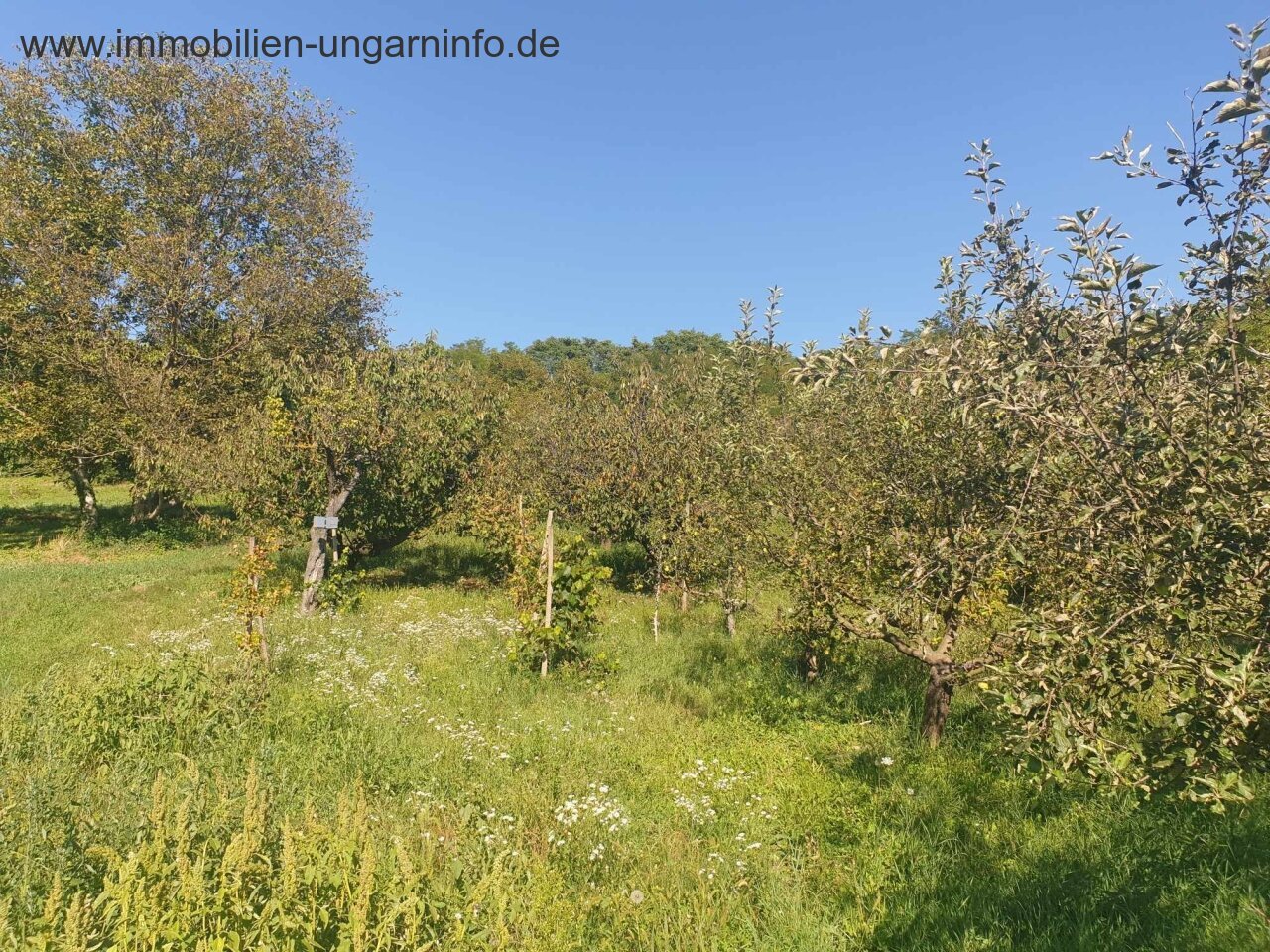 Einfamilienhaus zu verkaufen in der Gegend von Siófok