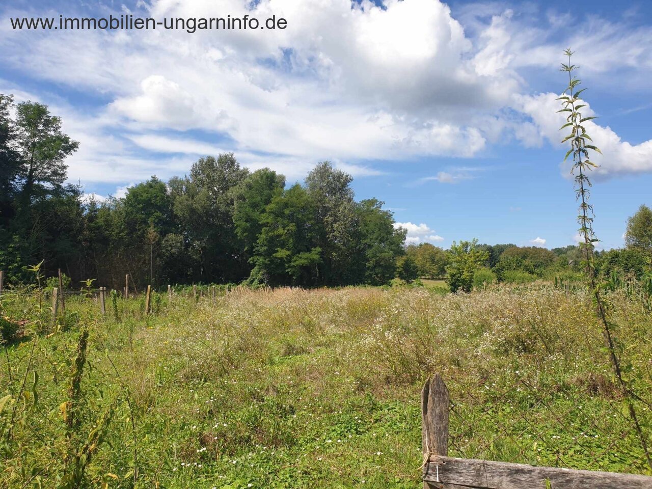 Einfamilienhaus in einem kleinen Dorf im Komitat Somogy zu verkaufen