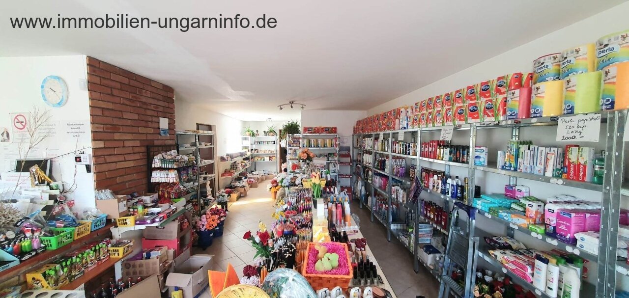 Two houses for the price of one near Lake Balaton