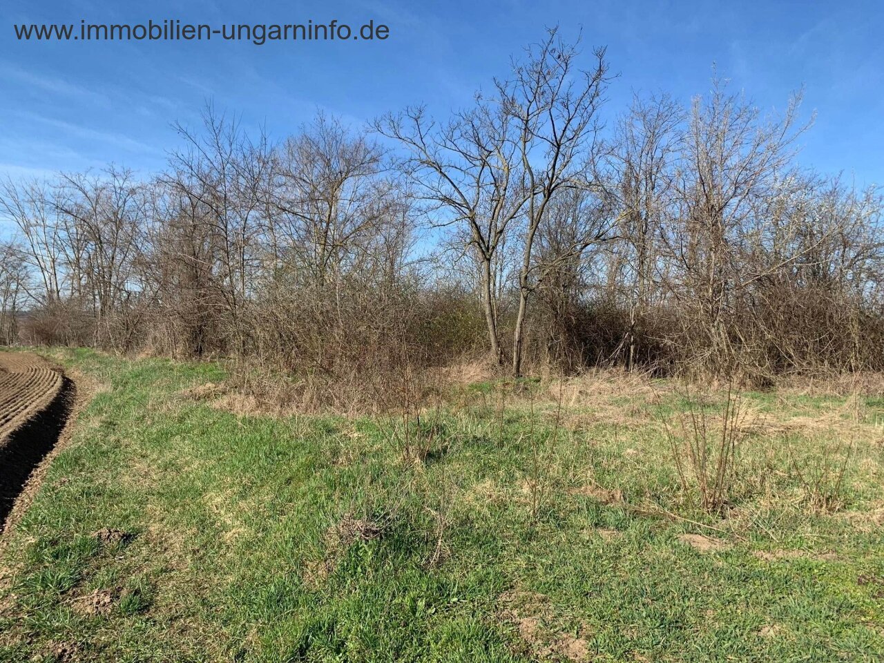 Building land for sale in a small village in Tolna county