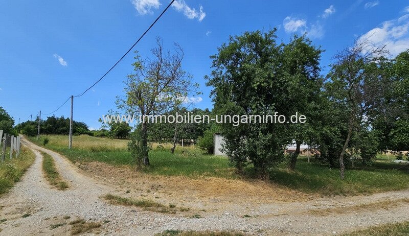 In Marcali Weinberg (12 km vom Plattensee) geschlossene Garten zu verkaufen