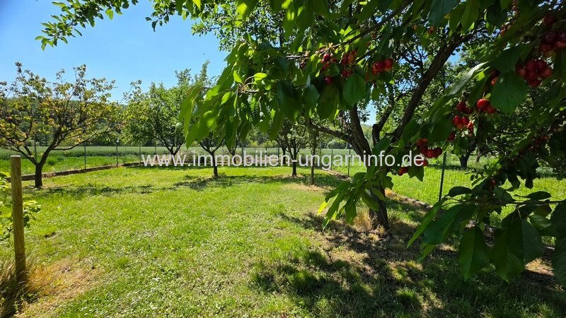 Einfamilienhaus auf dem Land mit großem Grundstück und zahlreichen Extras, 20 km vom Plattensee entfernt