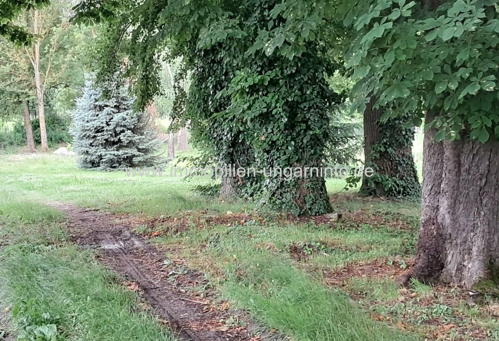 Komplett renoviertes Einfamilienhaus in Nemesvid zu verkaufen