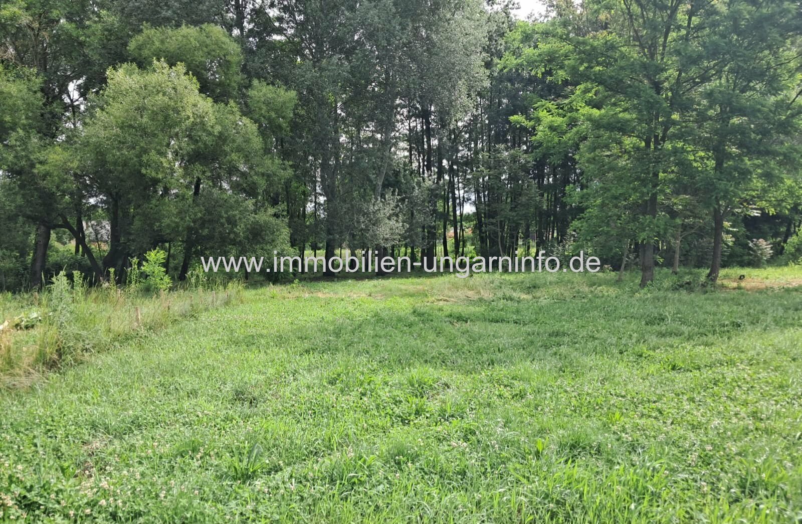 Komplett renoviertes Einfamilienhaus in Nemesvid mit ca. 9.000 m² Grundstück zu verkaufen