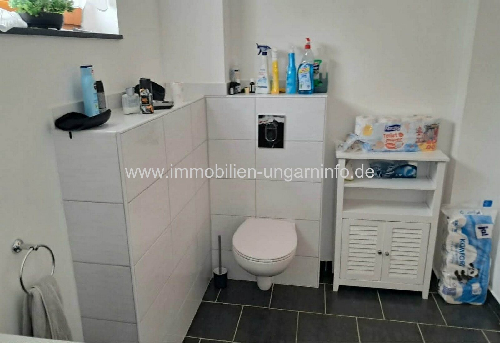 Komplett renoviertes Einfamilienhaus in Nemesvid mit ca. 9.000 m² Grundstück zu verkaufen
