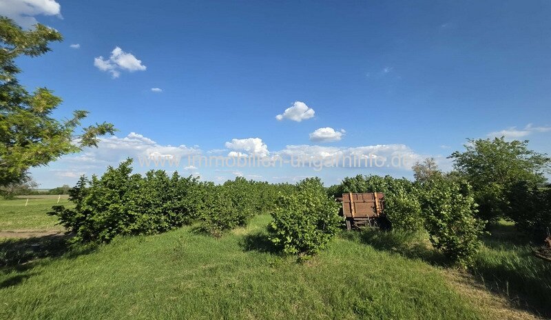 In Balatonszabadi steht ein Zweifamilienhaus mit großem Grundstück zum Verkauf