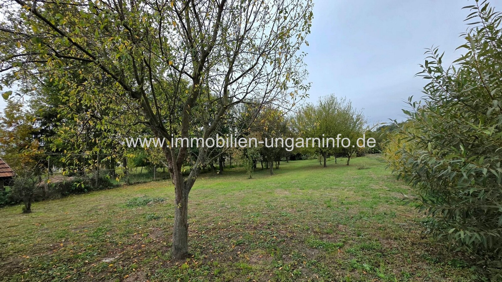 Renoviertes Einfamilienhaus in Nemesvid zu verkaufen