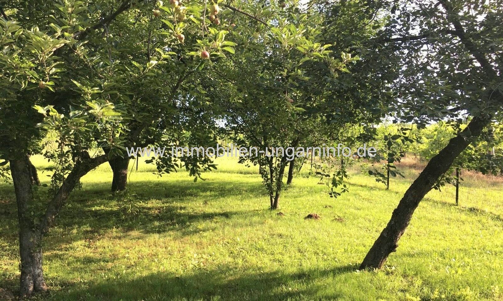 In Szőlősgyörök-Banyászóhegy steht ein einzigartiges Anwesen mit zwei Häusern zum Verkauf