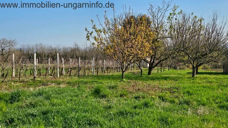 Keller/Presshaus in der Nähe des Plattensees mit Panoramablick zu verkaufen