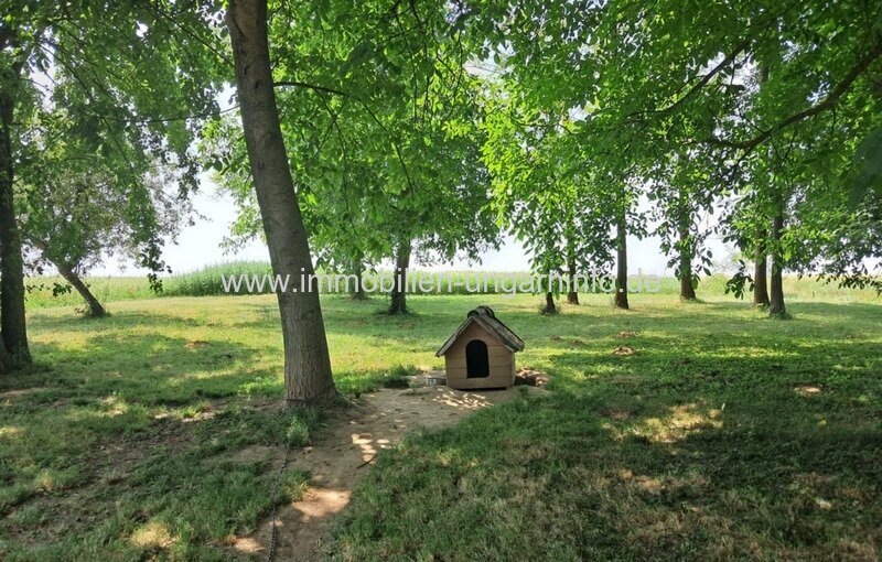 Fachwerk-Bauernhaus im Kreis Somogy