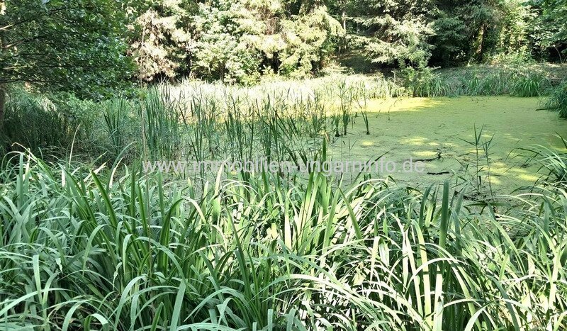 Geschlossene Garten mit See und Wald in der Nähe von Nagykanizsa zu verkaufen