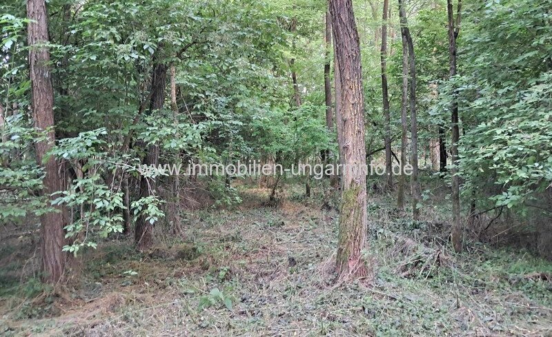 Geschlossene Garten mit See und Wald in der Nähe von Nagykanizsa zu verkaufen