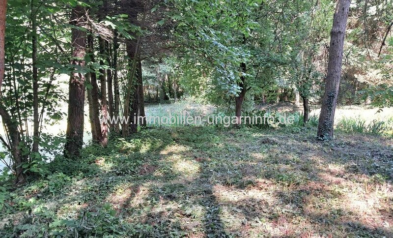 Geschlossene Garten mit See und Wald in der Nähe von Nagykanizsa zu verkaufen