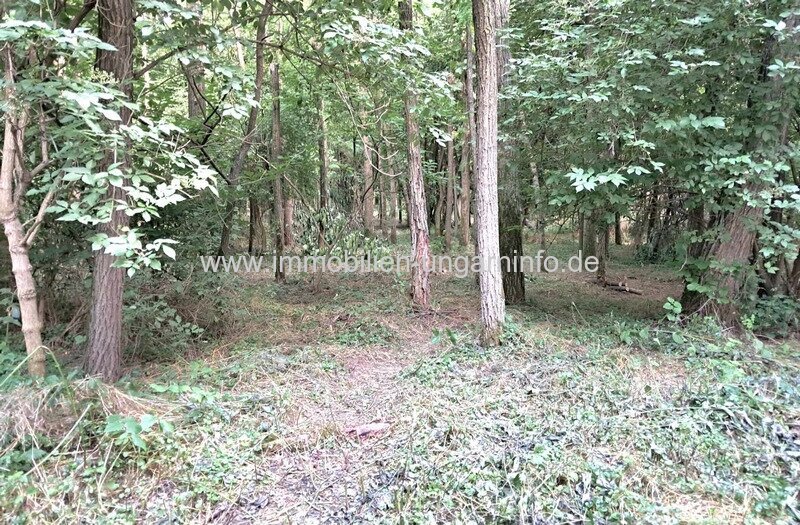 Geschlossene Garten mit See und Wald in der Nähe von Nagykanizsa zu verkaufen