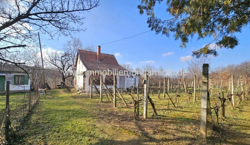 Bewohnbares Keller-/Wochenendhaus im Weinberg Marcali