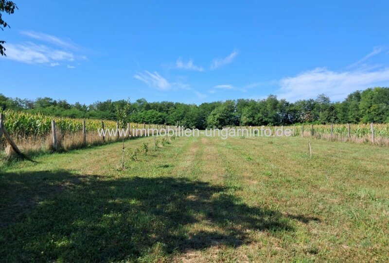 Familienhaus im Umbau im Komitat Somogy