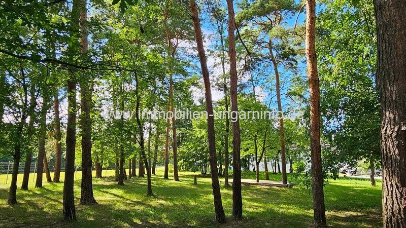 Waldhaus mit Appartements, Schwimmbad in der Nähe des Plattensees