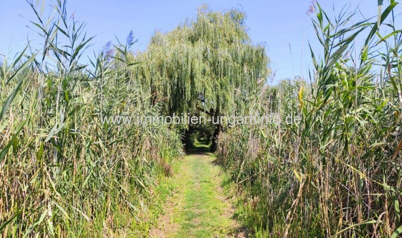 Strandnahes Ferienhaus mit Strohdach in Balatonmáriafürdő zu verkaufen